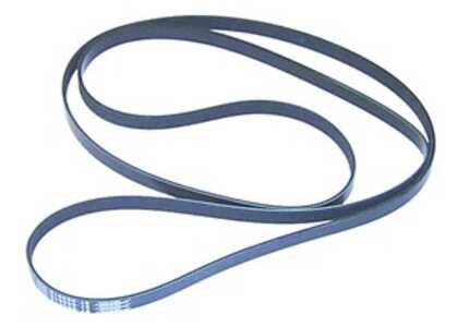 Serpentine Belt